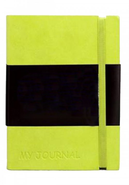 Italian leather notebook green